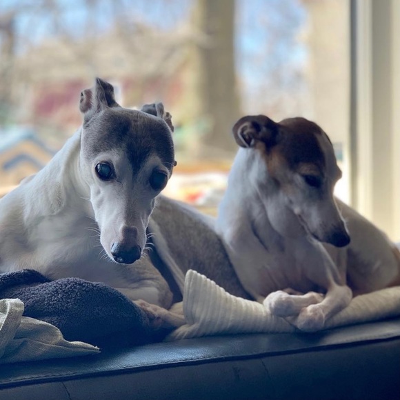 Meet Your Posher!! - Picture 3 of 4